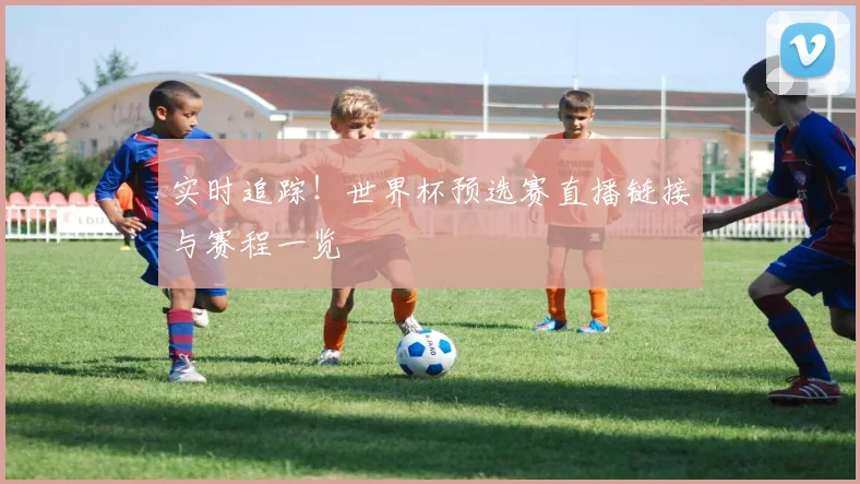 实时追踪！世界杯预选赛直播链接与赛程一览
