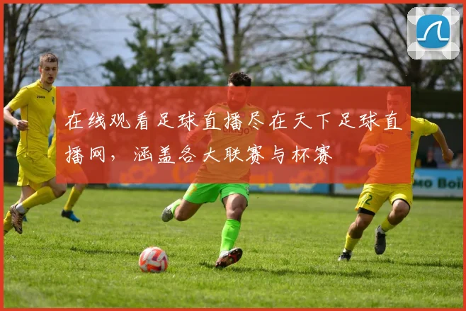 在线观看足球直播尽在天下足球直播网，涵盖各大联赛与杯赛