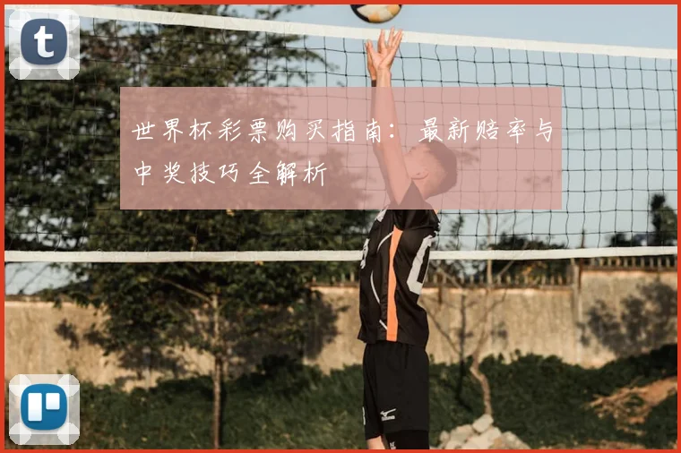 世界杯彩票购买指南：最新赔率与中奖技巧全解析